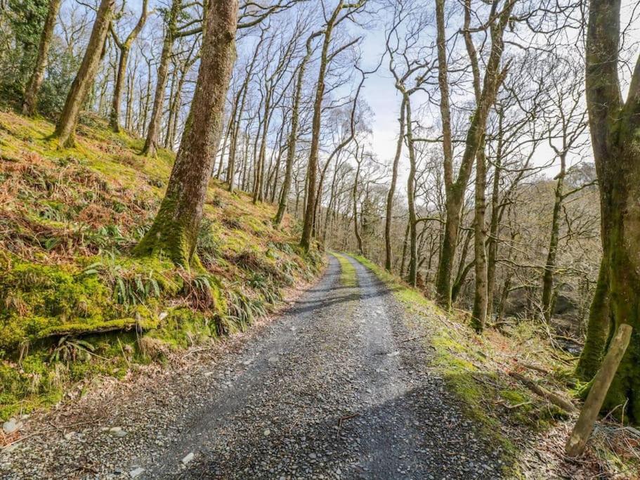 Y Cwtch - Panoramic Mountain Views Within Snowdonia'S National Park - 4X4 Recommended Villa Dolgellau Buitenkant foto