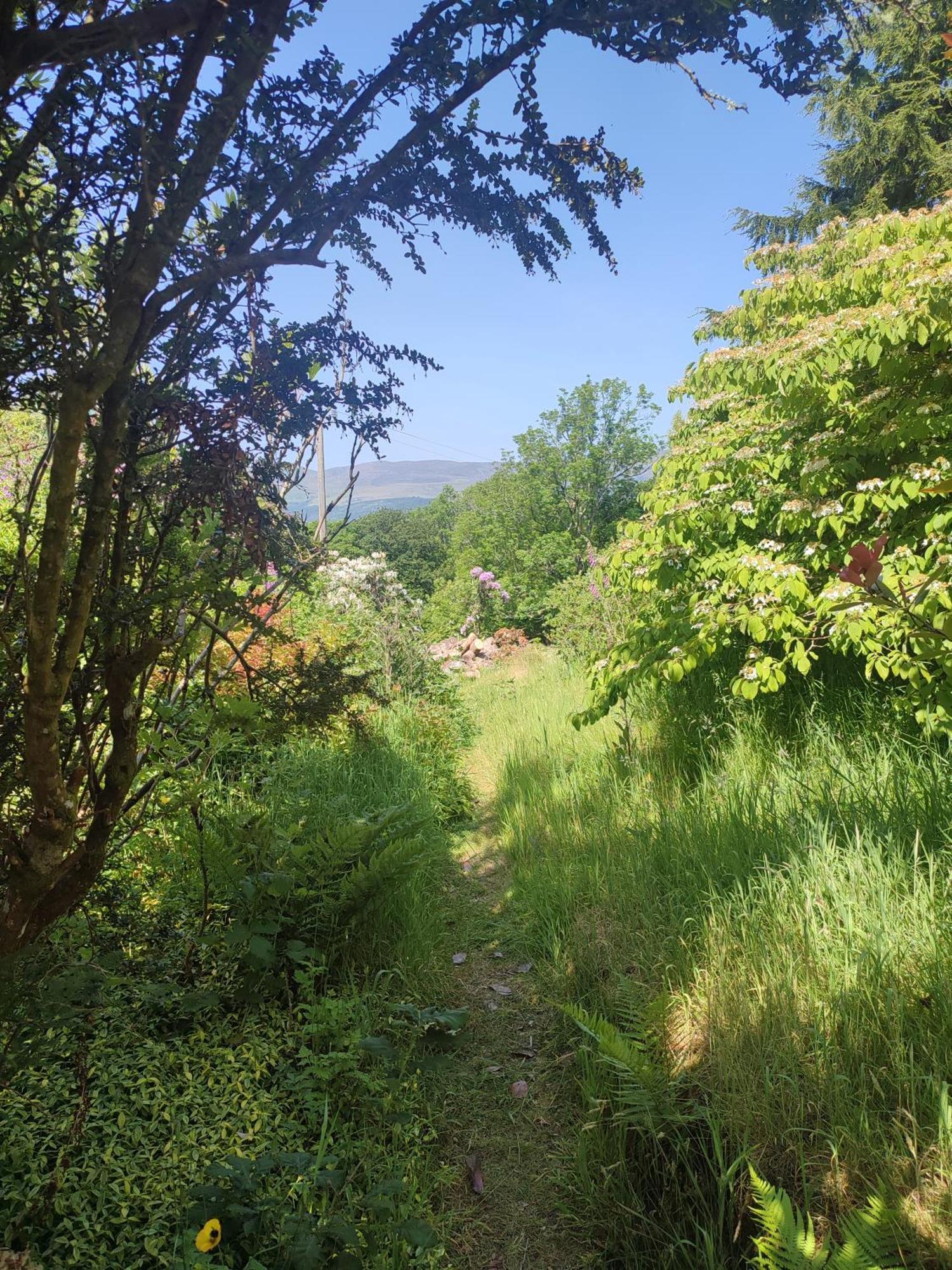 Y Cwtch - Panoramic Mountain Views Within Snowdonia'S National Park - 4X4 Recommended Villa Dolgellau Buitenkant foto