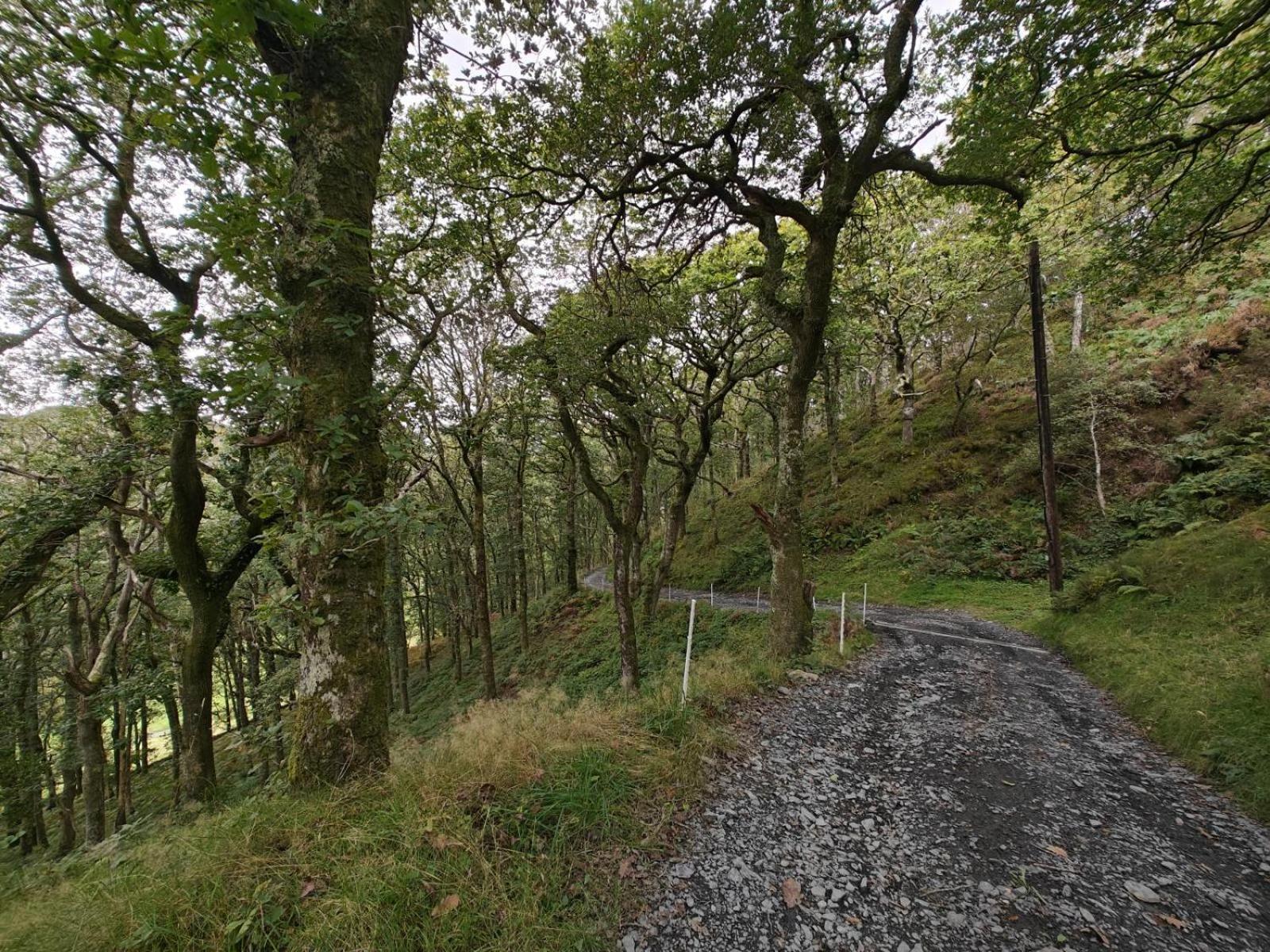 Y Cwtch - Panoramic Mountain Views Within Snowdonia'S National Park - 4X4 Recommended Villa Dolgellau Buitenkant foto